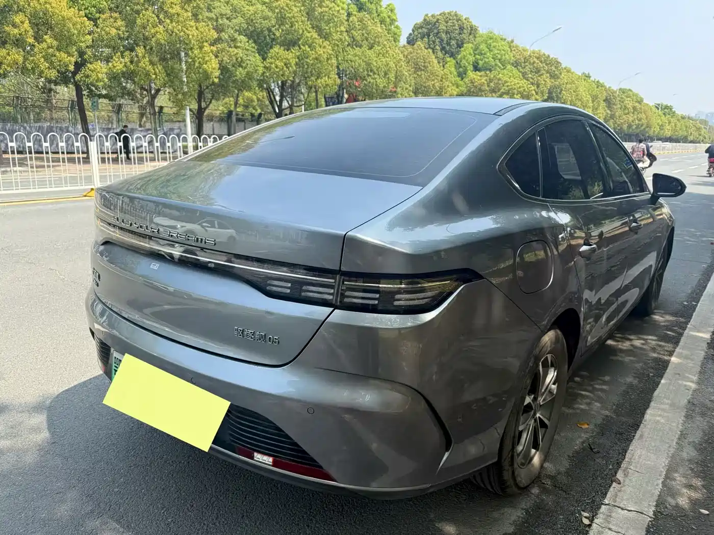 BYD Destroyer 05 2023 Champion Edition DM-i 55KM Luxury фото 7