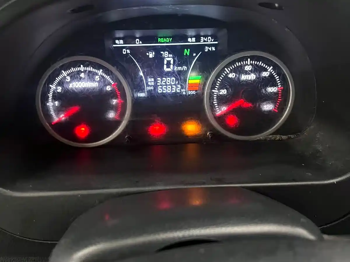 GOLDEN DRAGON SEA LION NEW ENERGY