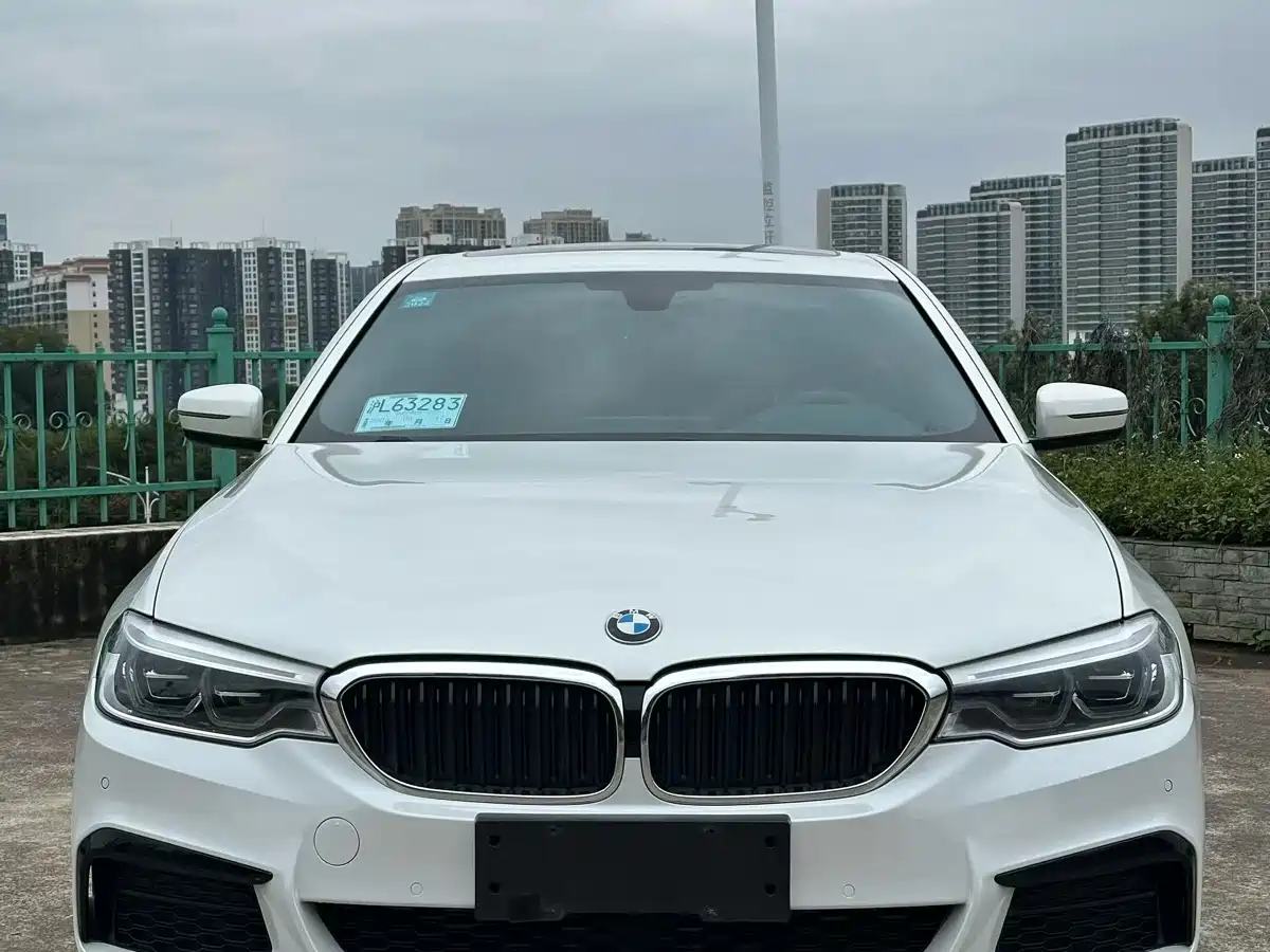BMW 5 Series 2020 530Li Leading M Sport Package фото 2