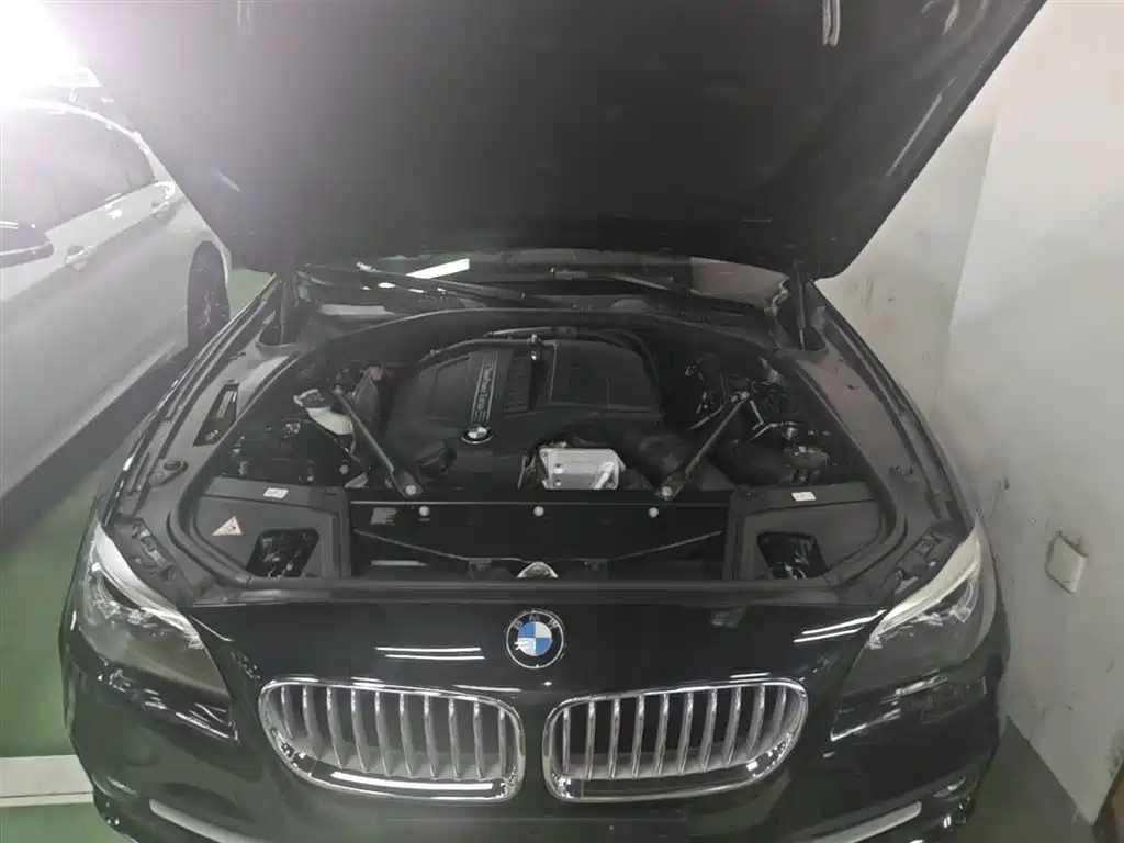 BMW 5 Series 2014 535Li Leadership фото 20