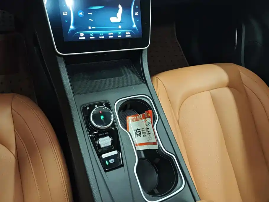 Weltmeister W6 2022 2021 520km PRO All-round Edition