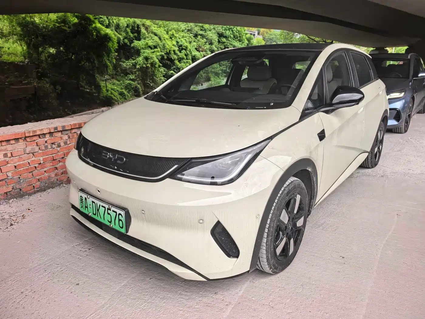 BYD Dolphin 2025