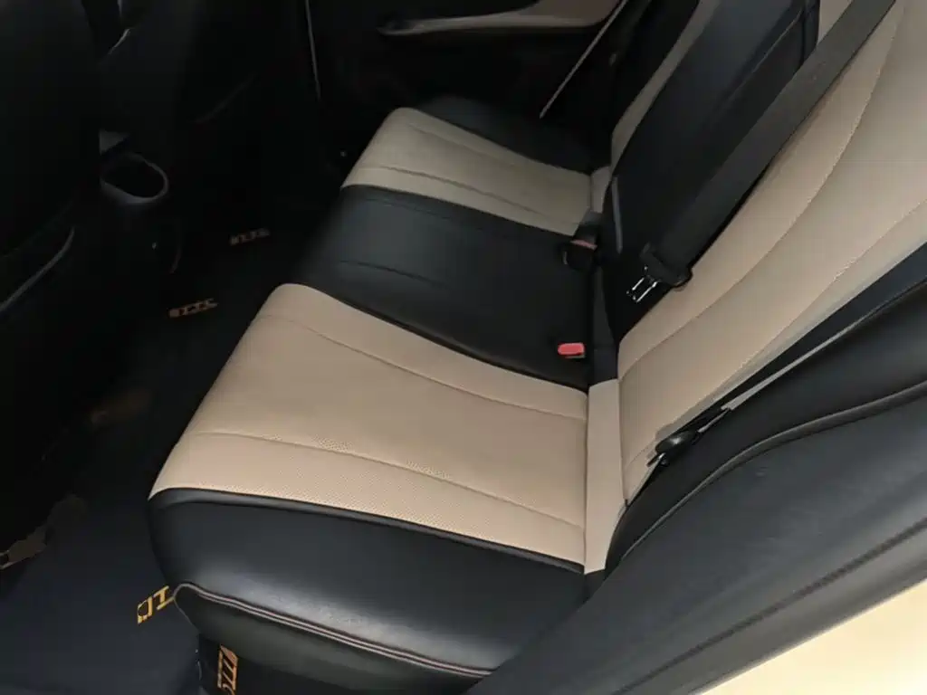 BYD Dolphin 2023 420km Fashion Edition фото 17
