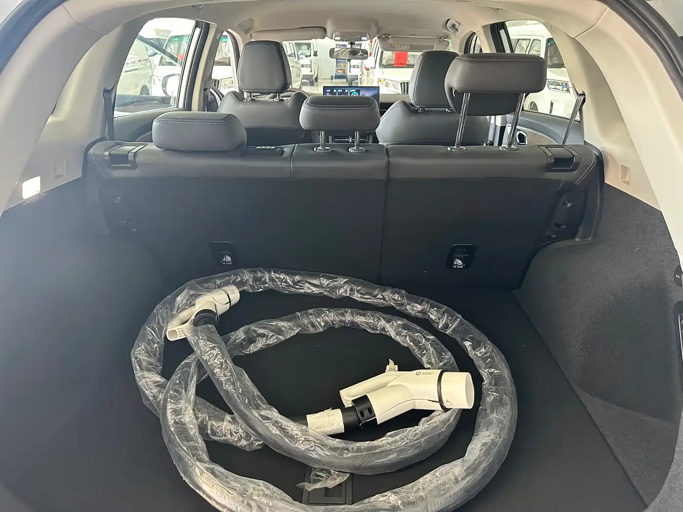 SKYWORTH AUTO SKYWORTH EV6