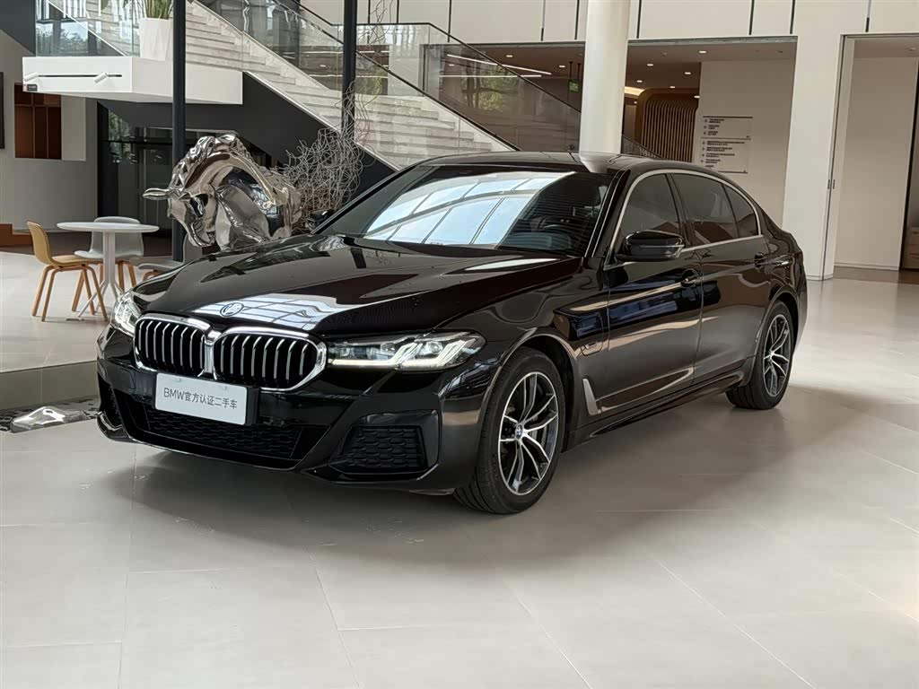 BMW 5 Series New Energy