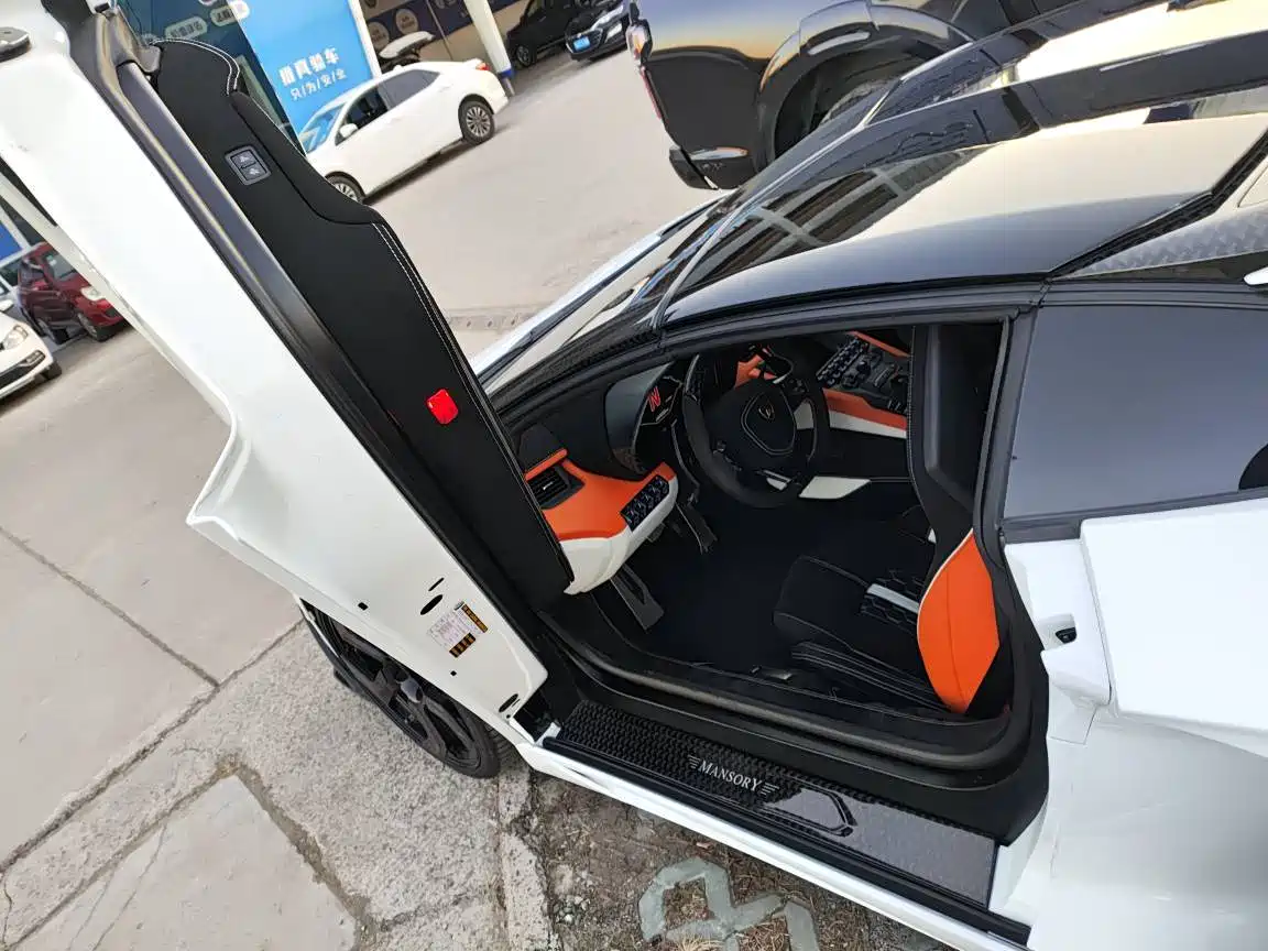 Lamborghini Aventador 2013 LP 700-4 Roadster фото 6