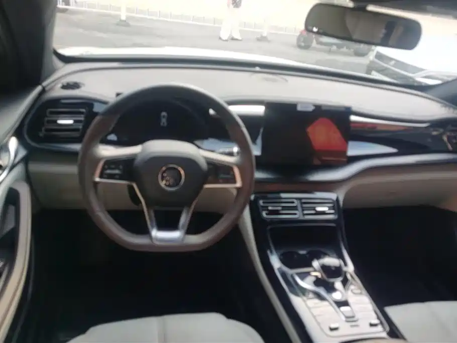 BYD Qin PLUS 2023 Champion Edition DM-i 55KM Leading фото 12