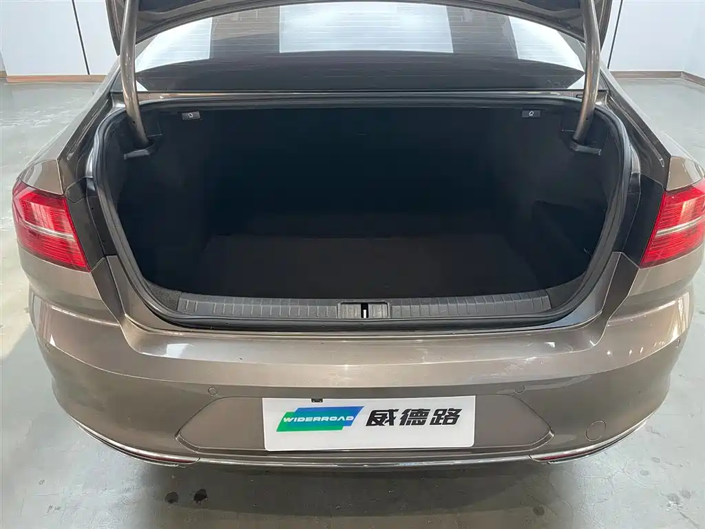Volkswagen Magotan 2018 330TSI DSG Luxury фото 24