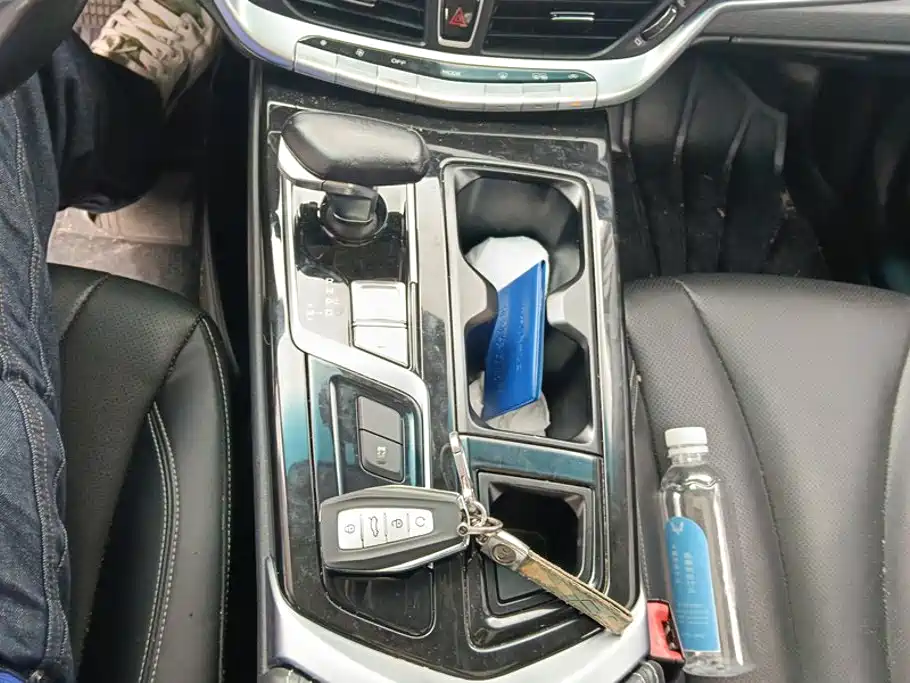 Geely Borui 2022 2021 1.8T Pilot Edition
