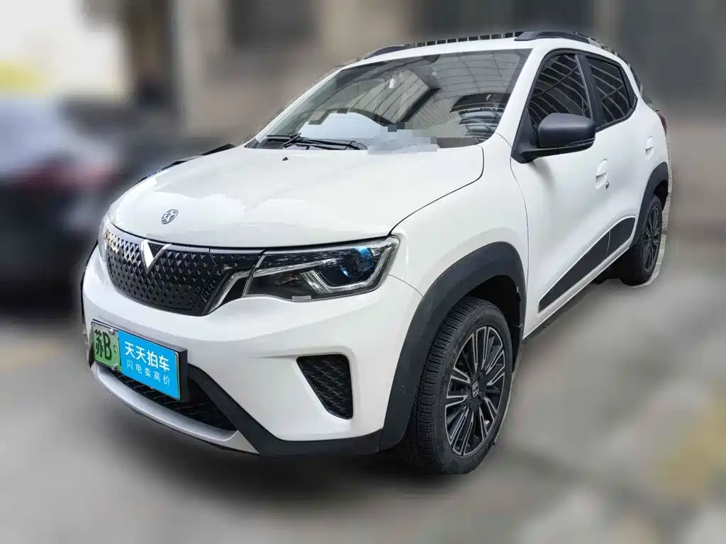 Venucia e30 2022 2021 Elite Edition