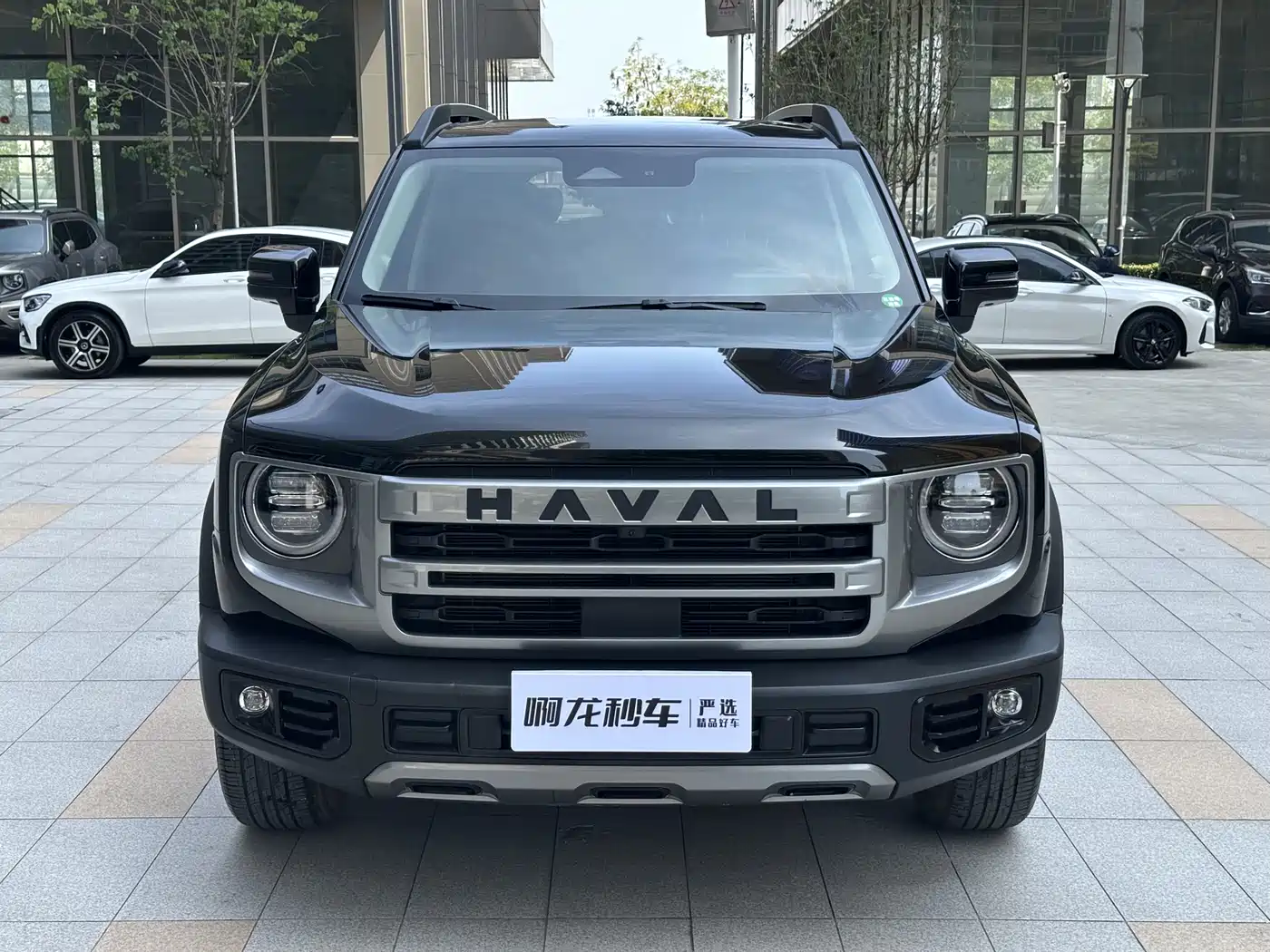 HAVAL BIG DOG