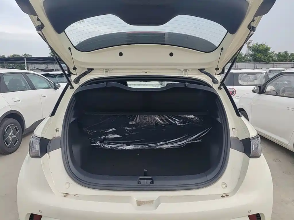 BYD Dolphin 2026 2025 420km Freedom Edition