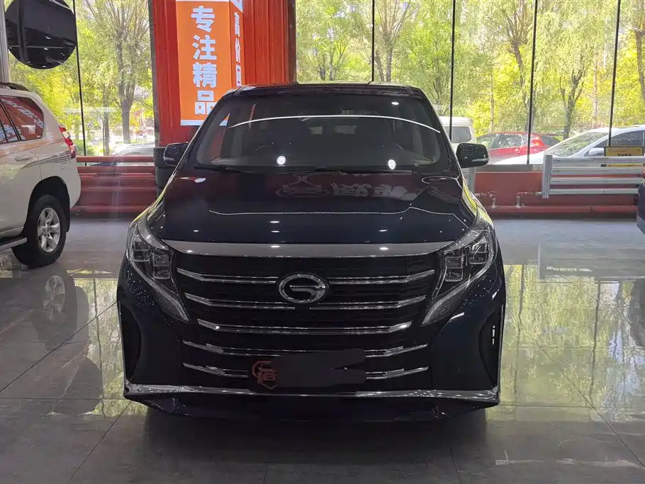 GAC Trumpchi Trumpchi M8 2021 Leading Show Series 390T Prestige Edition фото 2
