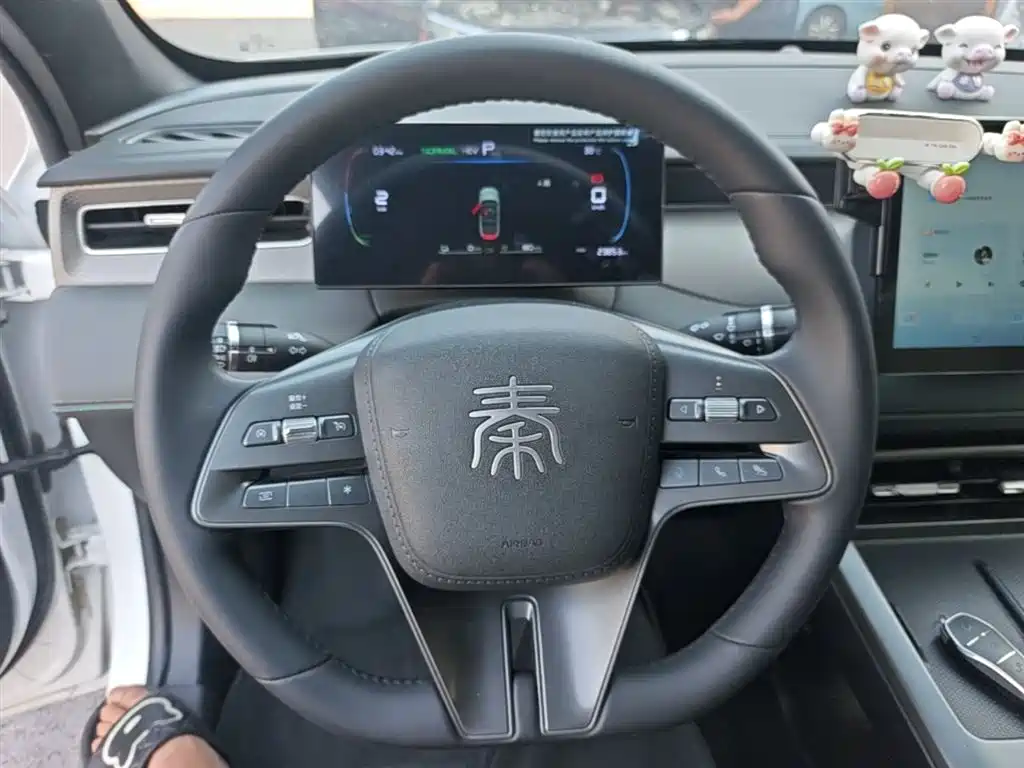 BYD Qin PLUS 2025 DM-i Smart Drive 55KM Leader фото 11
