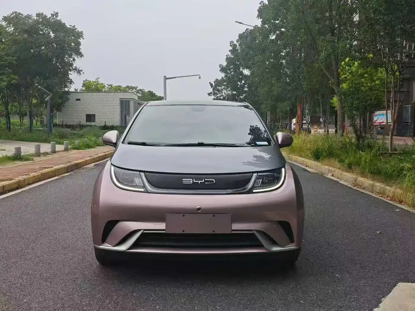 BYD Dolphin 2021 Model 405km Fashion Edition фото 2