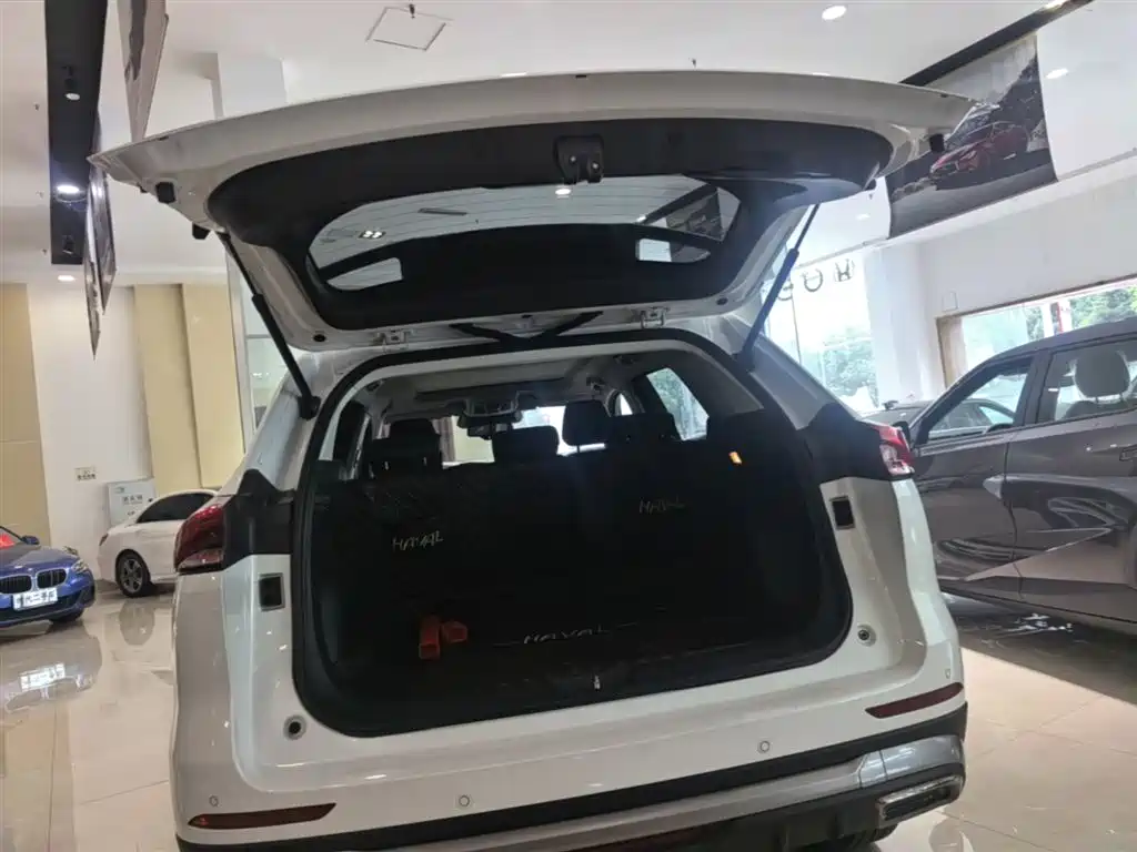 Haval H6 2021 National Trend Edition 1.5GDIT Automatic Champion Edition фото 19