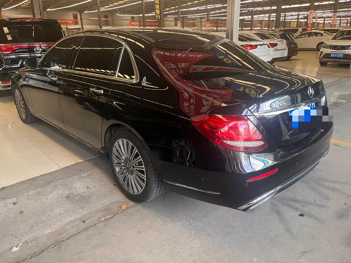 Mercedes-Benz E-Class 2020 E 300 L Fashion фото 12