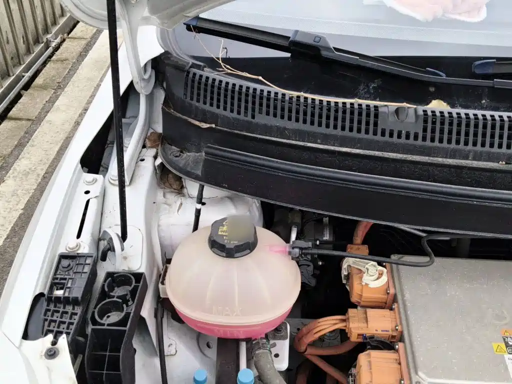 Geely Geometry E Firefly 2022 2022 320KM Well-behaved Tiger 4-seater