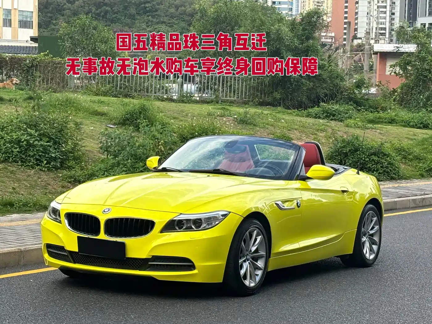 BMW Z4 2013 sDrive20i Leading