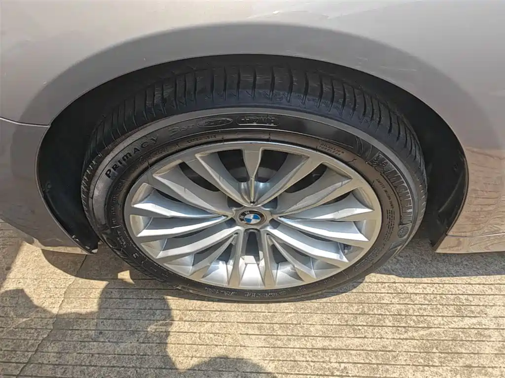 BMW 5 Series 2018 Facelift 530Li Leading Luxury Package фото 23