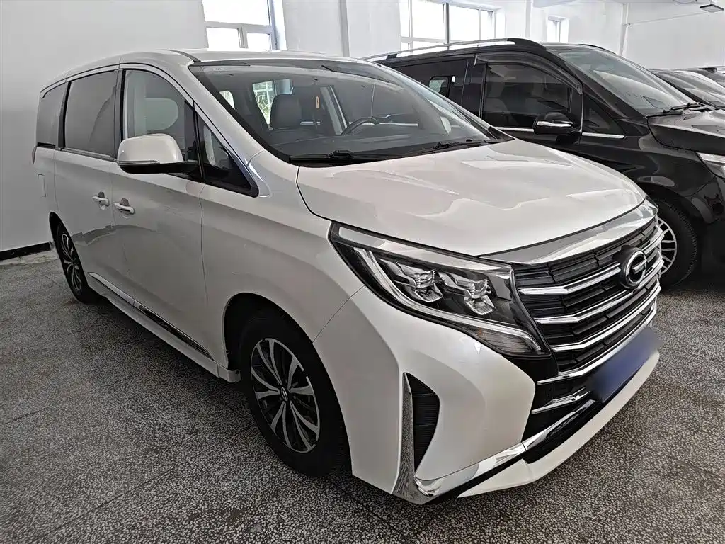 GAC Trumpchi Trumpchi M8 2021 Leading Show Series 390T Premium Edition фото 11