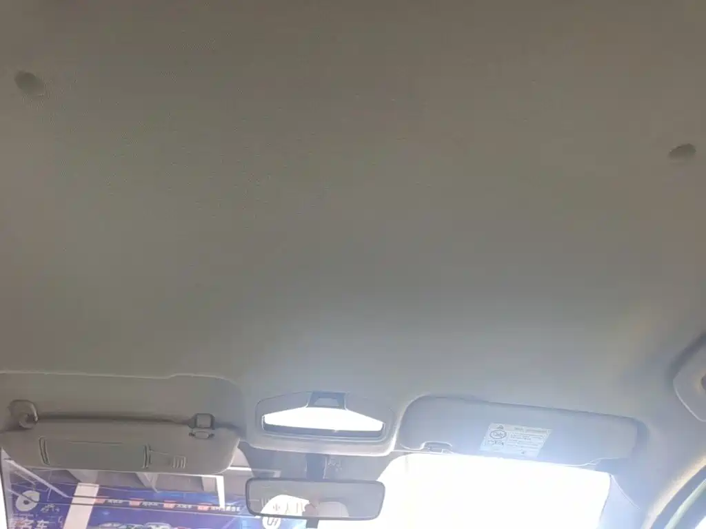 Geely Geometry E Firefly 2024 2024 Model 301km Starlight