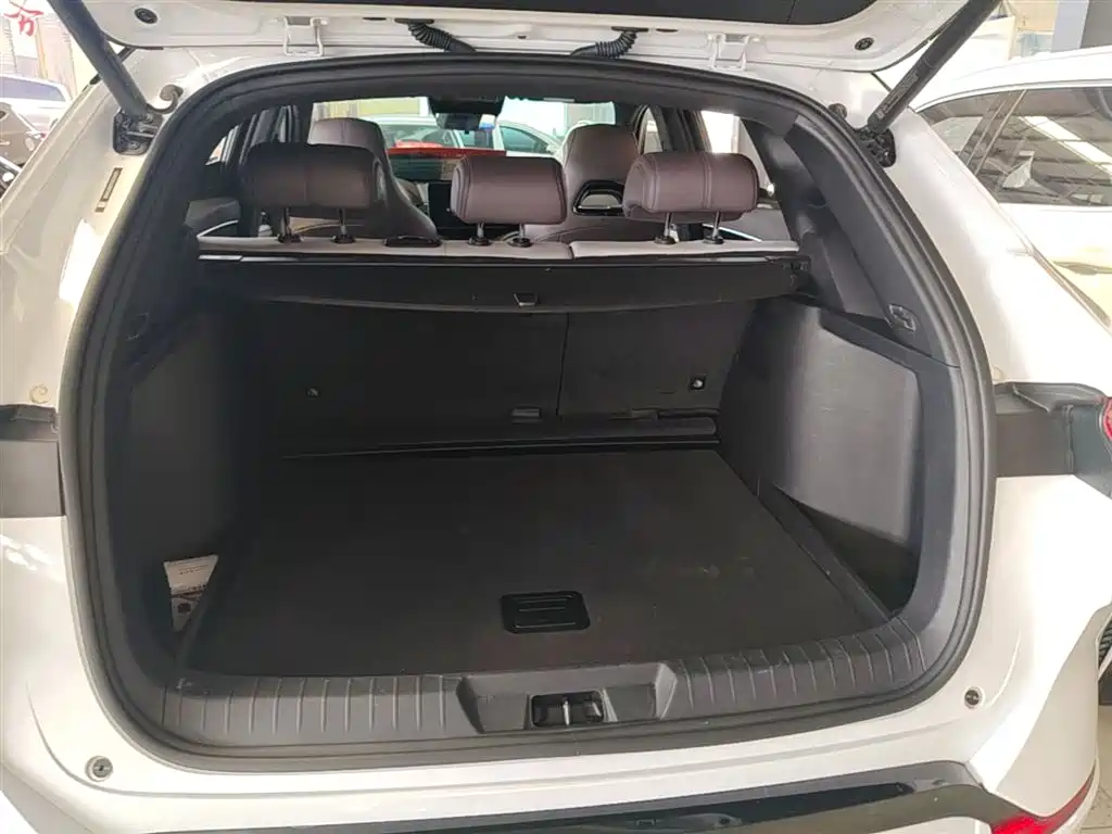 BYD Song PLUS PHEV 2025 DM-i 112KM Premium фото 19