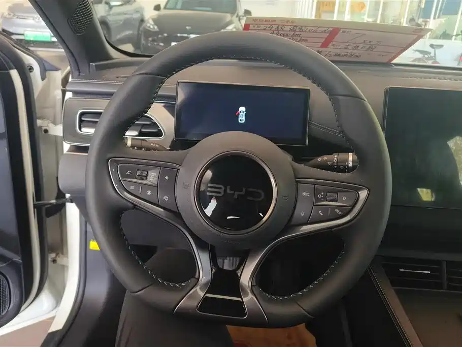 BYD Seal 06 New Energy 2024 DM-i 120KM Premium фото 15