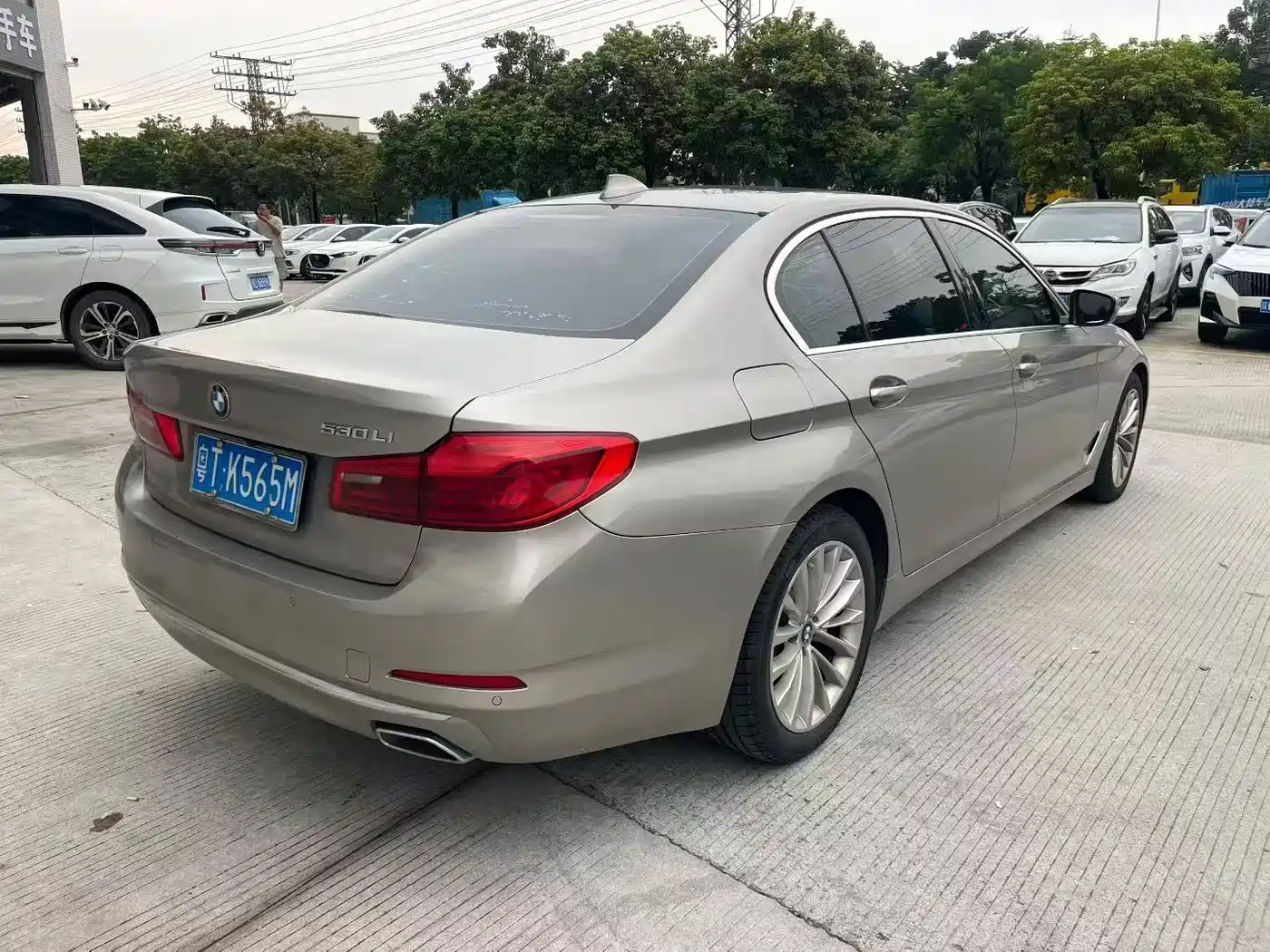 BMW 5 Series 2019 530Li Leading Luxury Package фото 4
