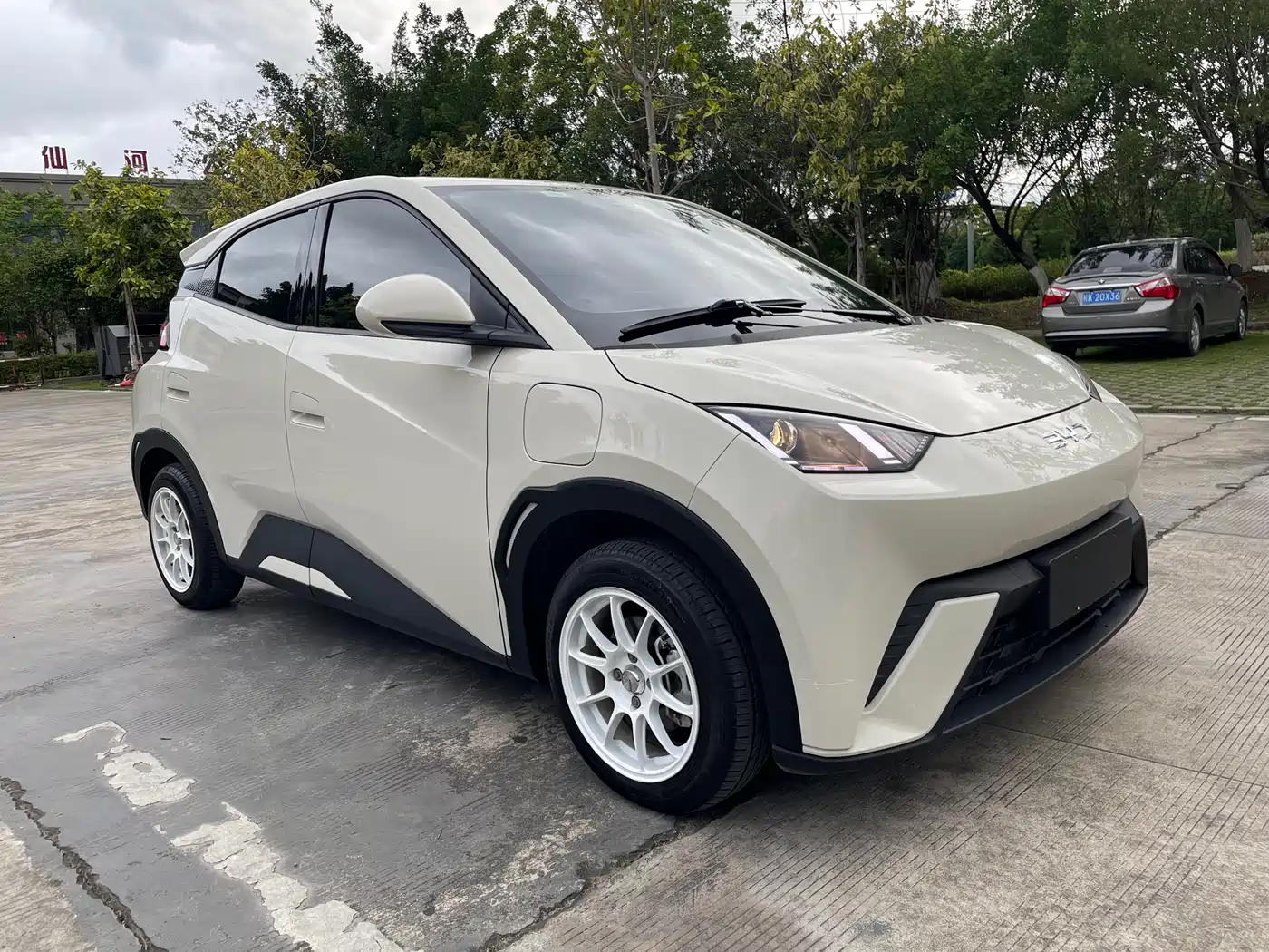 BYD Seagull 2024 Glory Edition 305km Vitality Edition фото 3