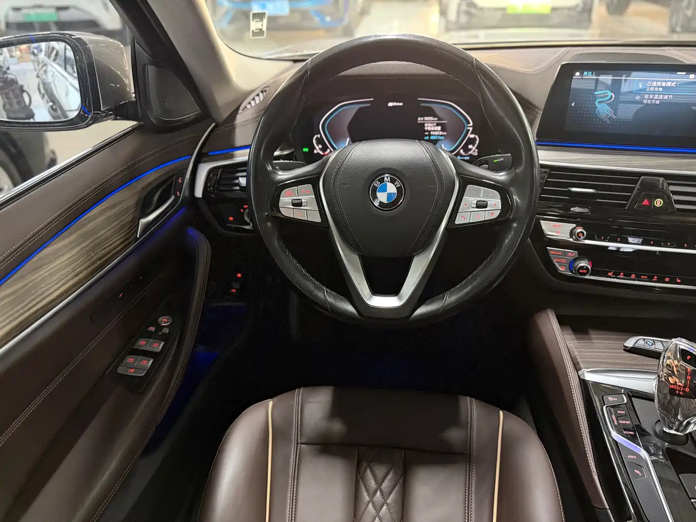 BMW 5 Series New Energy 2020 530Le Luxury Package фото 10