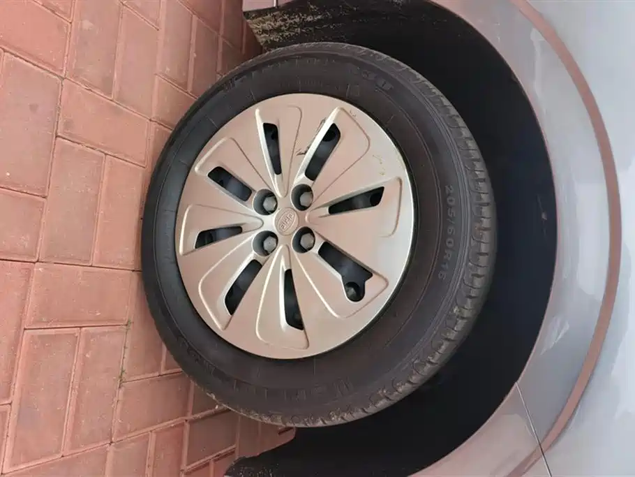 BYD E2