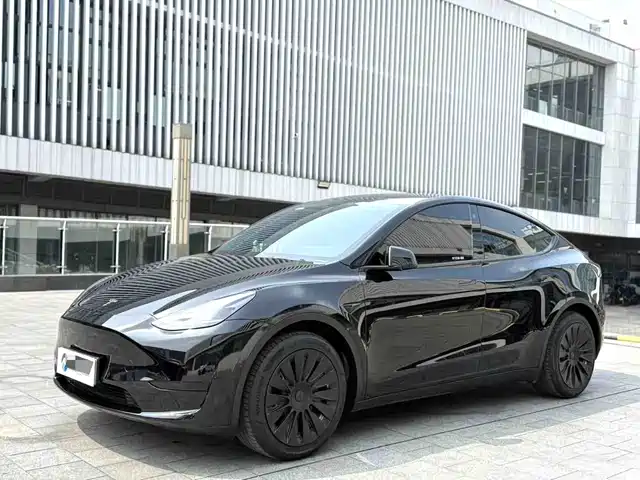 Tesla Model Y 2022 Rear-Wheel Drive Version