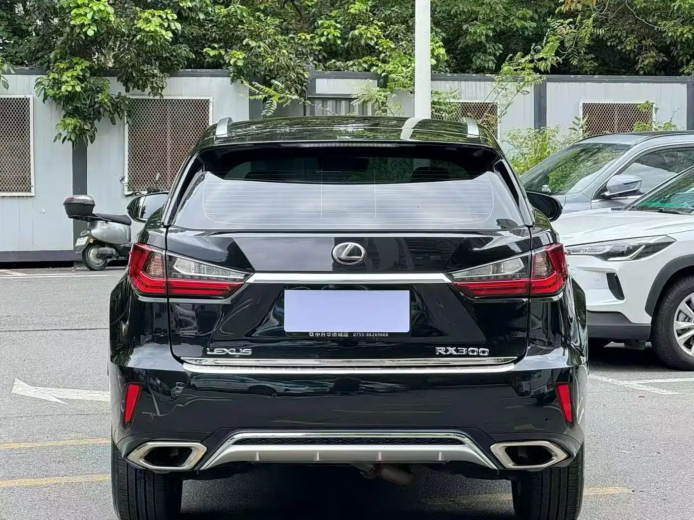 LEXUS RX