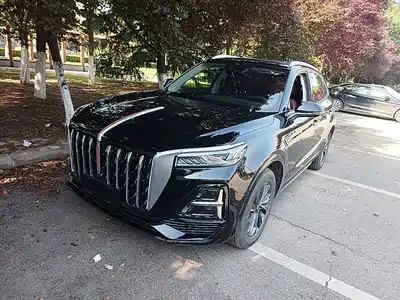 Hongqi HS5