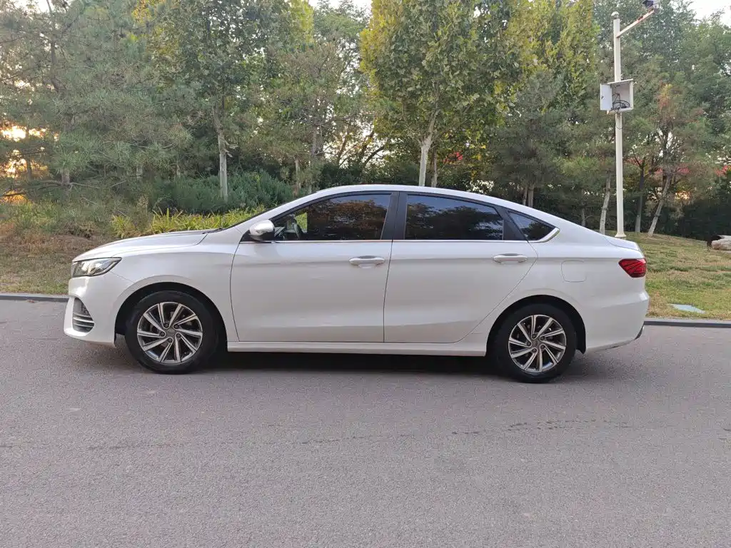 Фото 9 - Geely Binrui