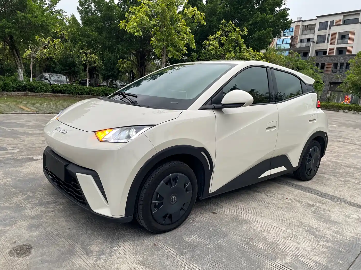 BYD Seagull 2024 Glory Edition 305km Freedom Edition