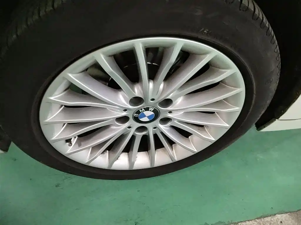 BMW 3 Series 2016 320Li Luxury Design Package фото 23