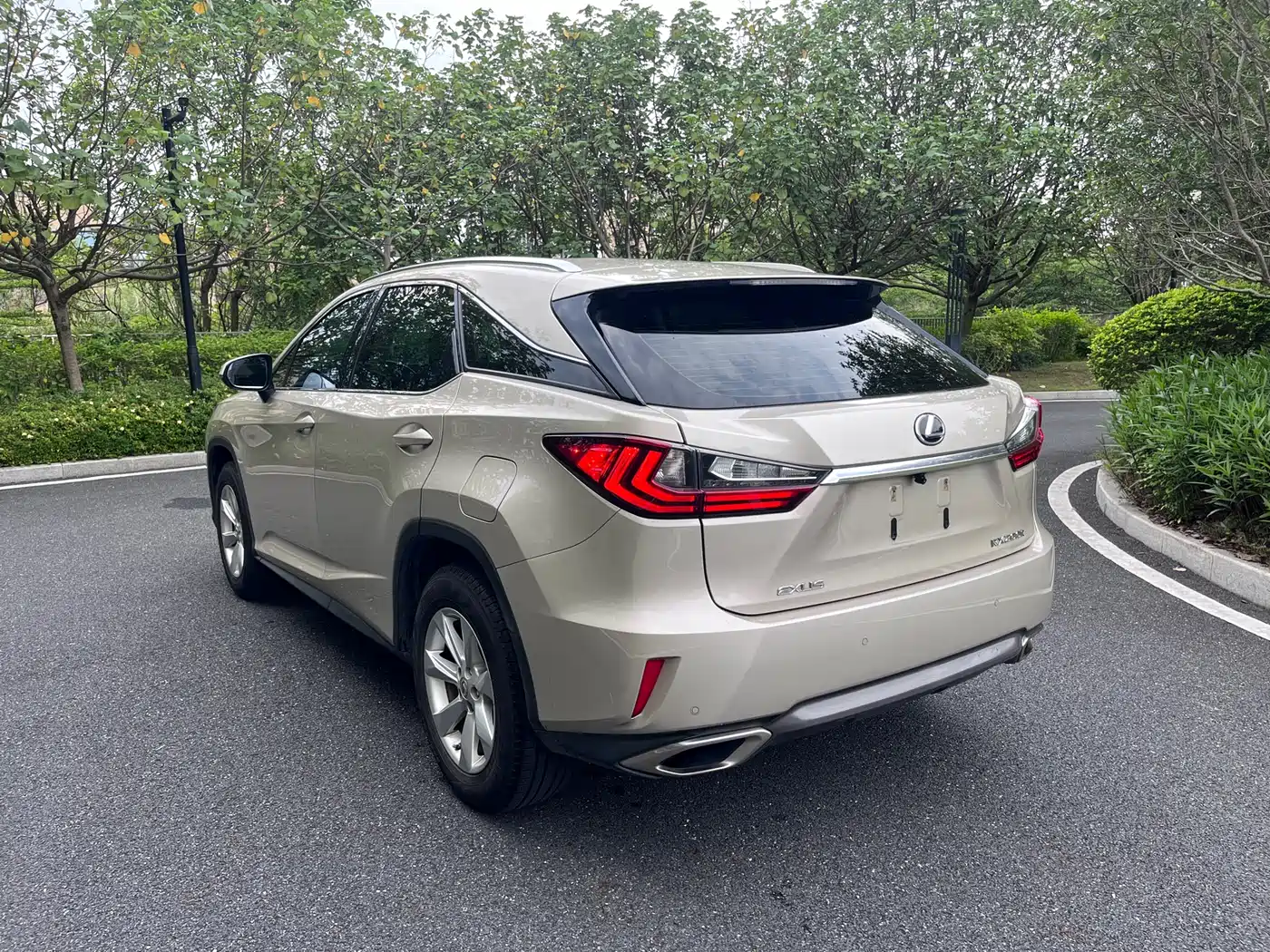LEXUS RX