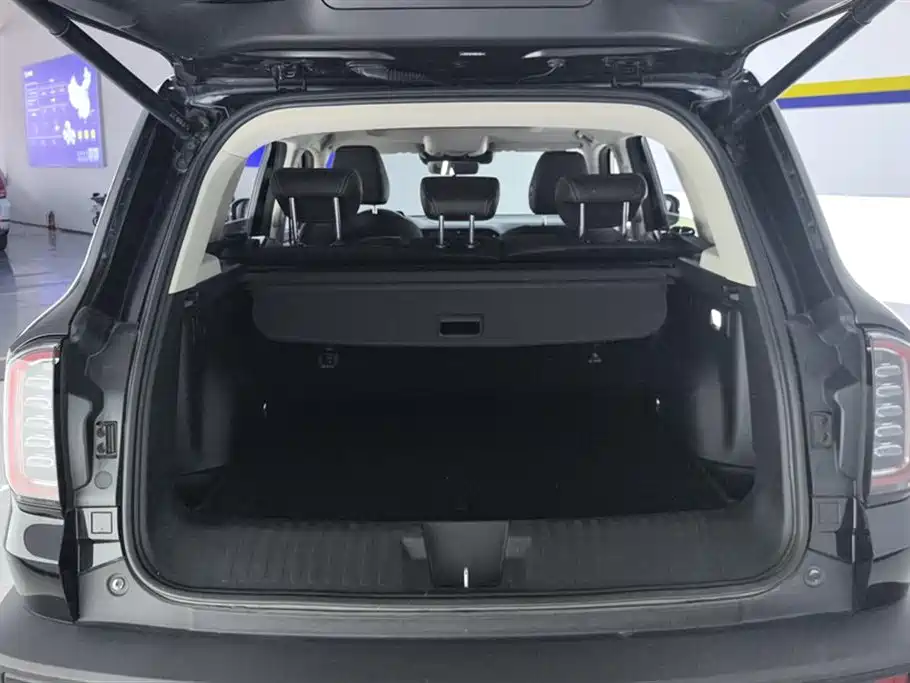 Haval Big Dog 2021 1.5T DCT 2WD Border Collie Edition фото 4