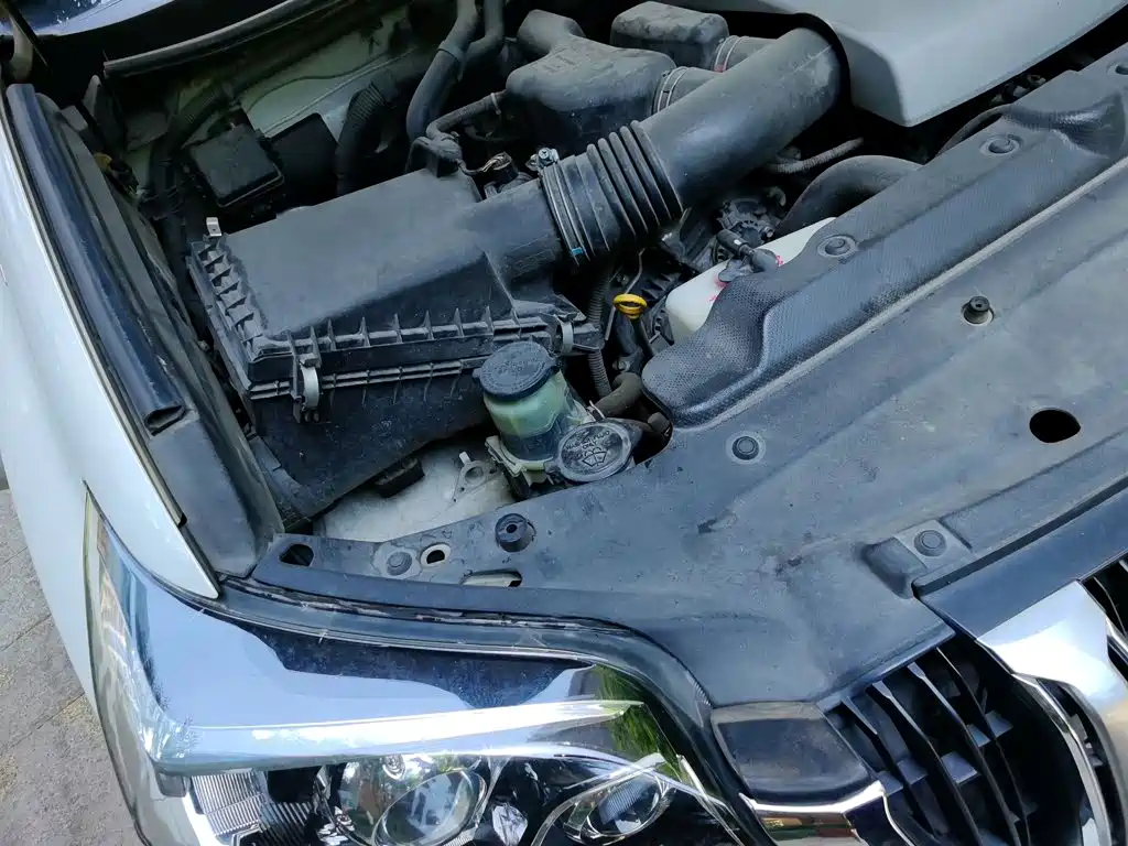Фото 20 - Toyota Prado
