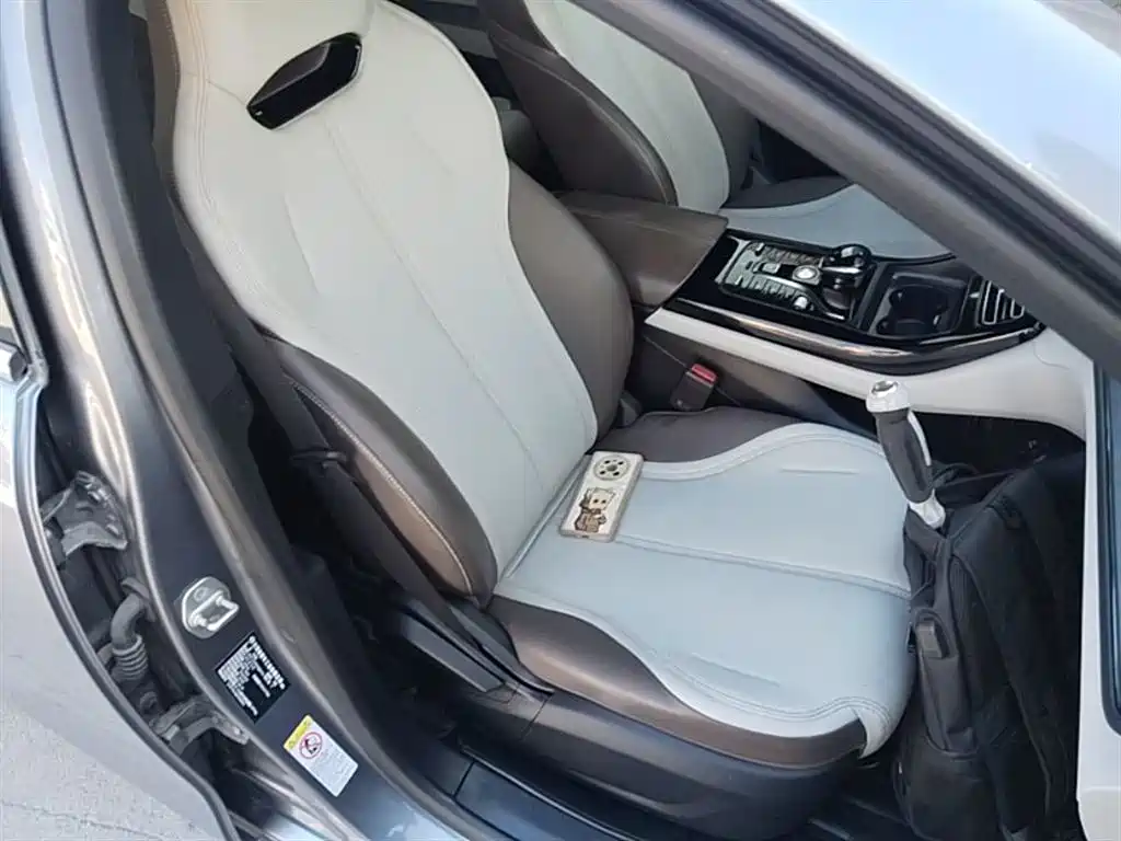 BYD Qin PLUS 2023 Champion Edition DM-i 55KM Leading фото 25