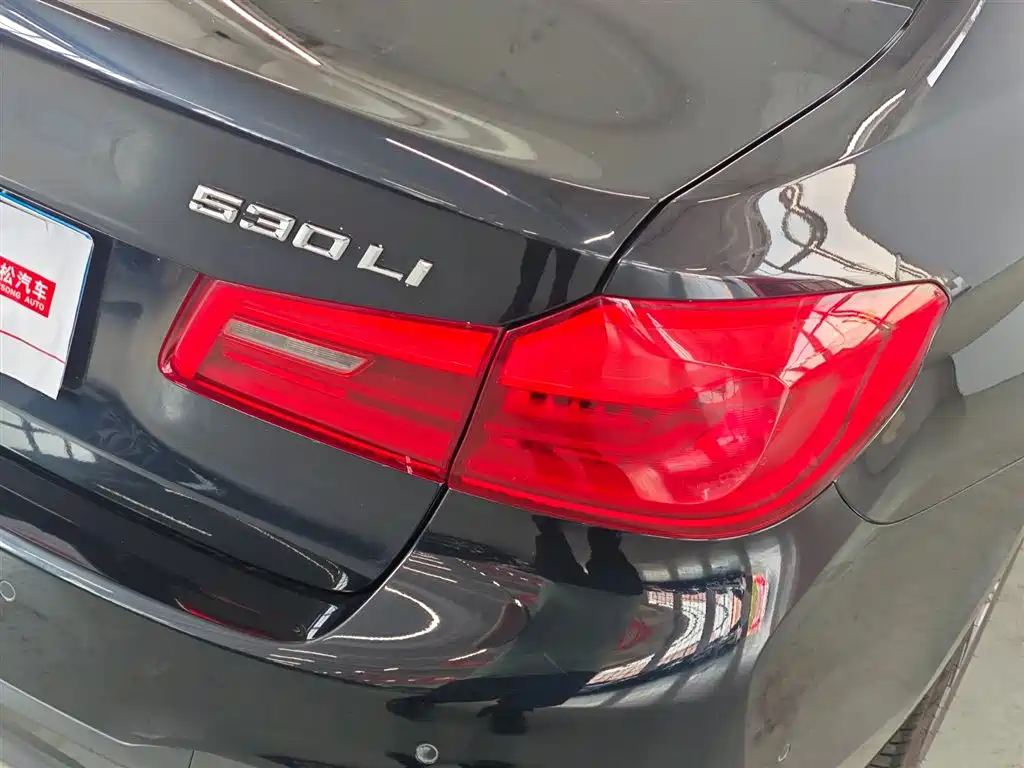 BMW 5 Series 2018 530Li Leading M Sport Package фото 19