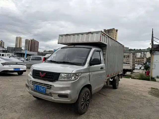 Wuling Motors Wuling Rongguang New Truck 2021 1.5L Rural Vehicle Edition LV1 Extended Single Row L3C