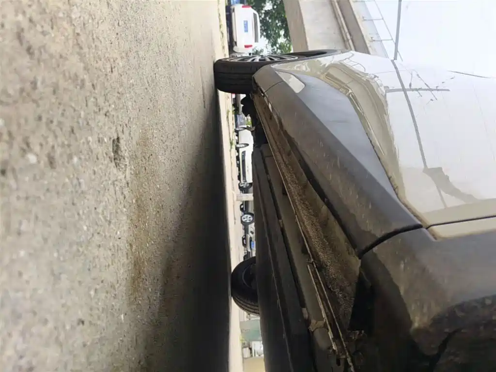 BYD Seagull 2025 305km Vitality фото 21