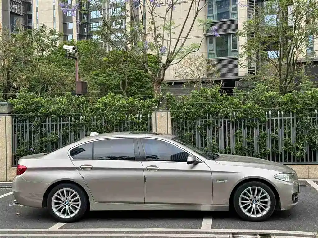 BMW 5 Series 2014 520Li Elegance фото 4