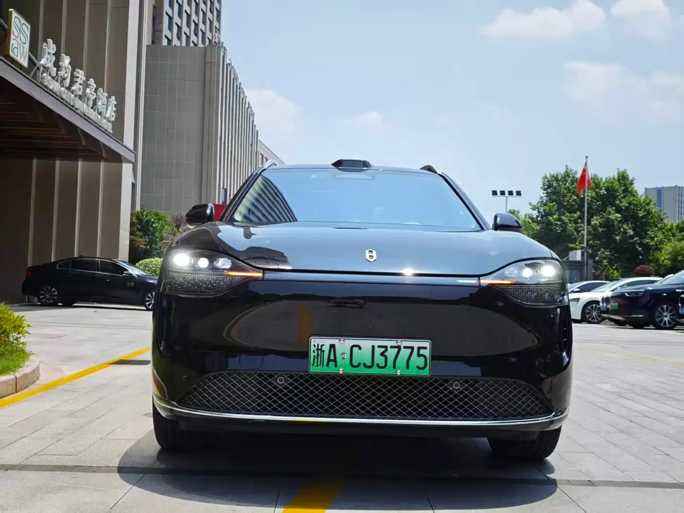 AITO Wenjie AITO M9 2024 Pure Electric Max Edition 100kWh 6-Seater фото 2