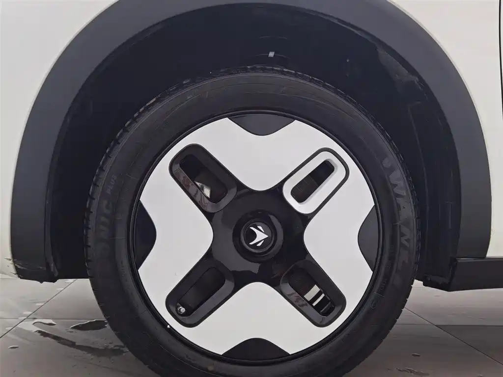 ARCFOX EXTREME FOX POLAR FOX KOALA S