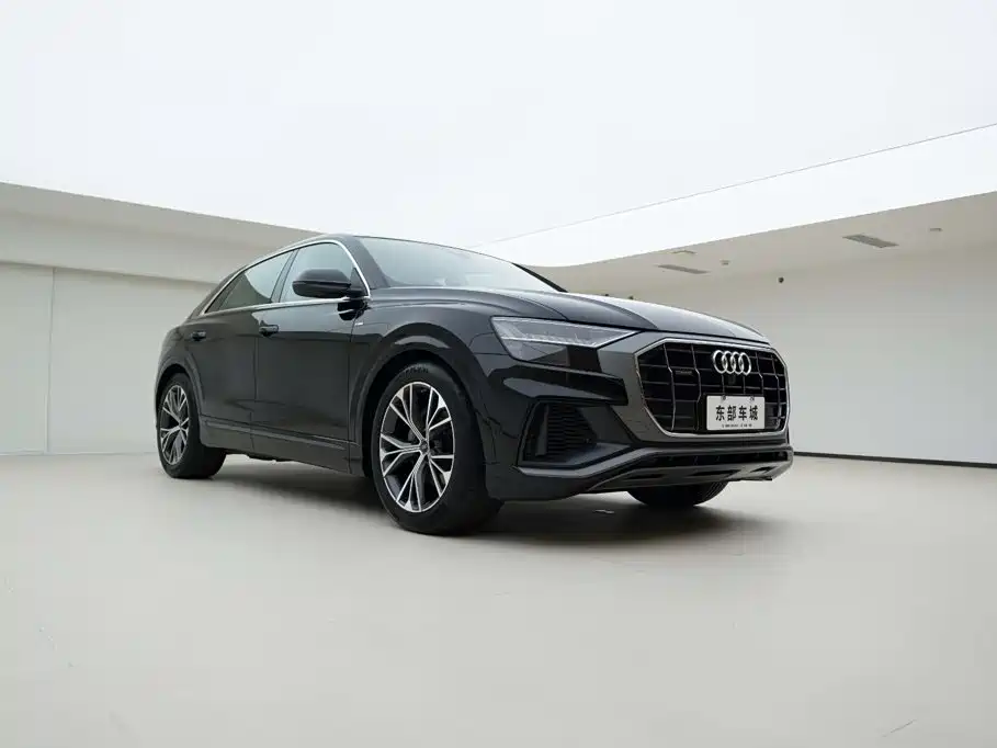 Audi Q8 2023 2022 55 TFSI Luxury Dynamic