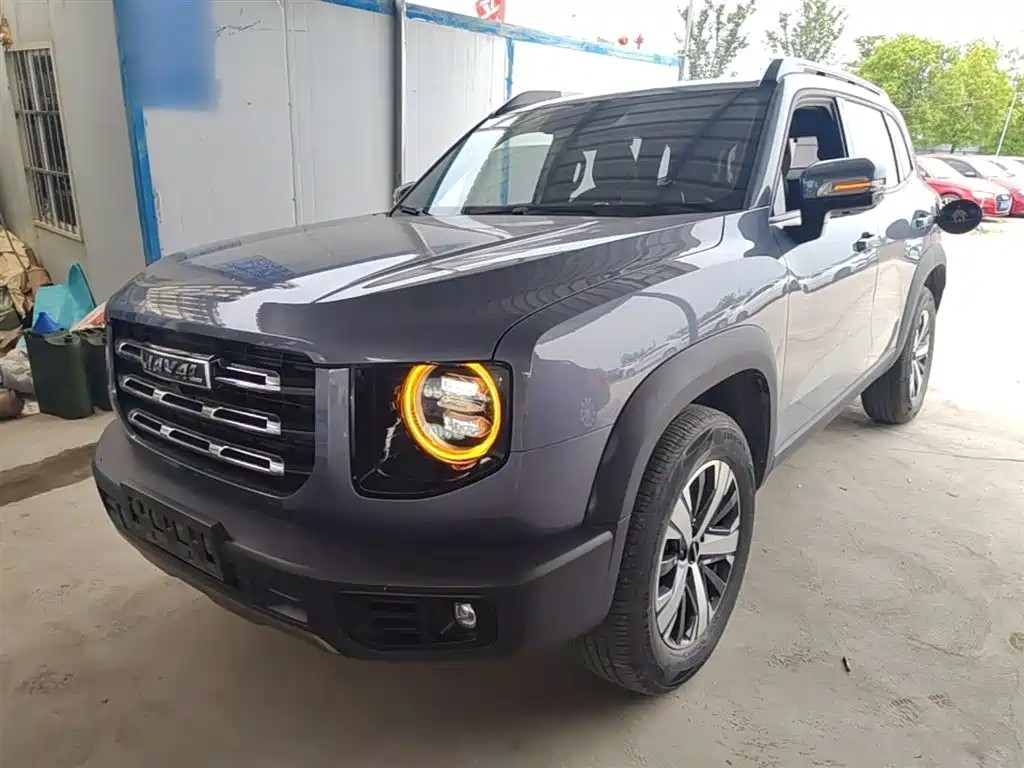 Haval Big Dog 2021 1.5T DCT 2WD Labrador Edition